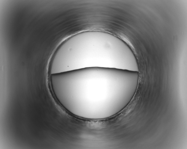 X0000088711087200705311034