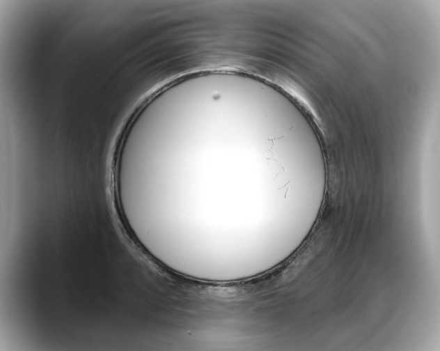 X0000088711088200705311034