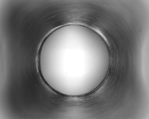 X0000088711100200705311034