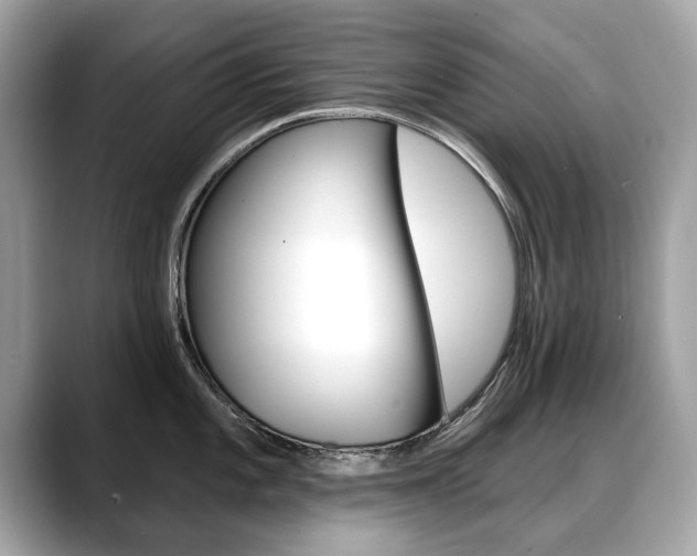 X0000088711101200705311034