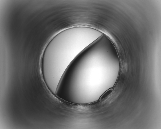 X0000088711102200705311034