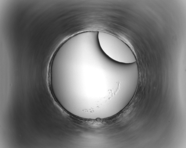 X0000088711103200705311034