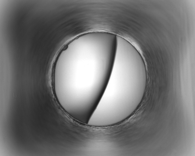X0000088711104200705311034