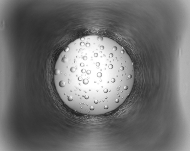 X0000088711105200705311033