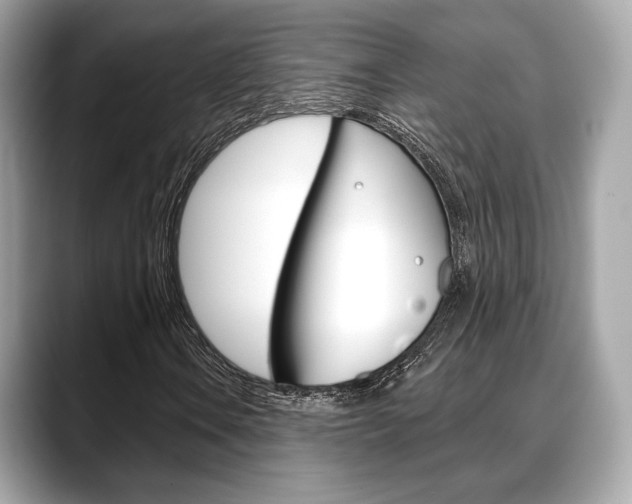 X0000088711106200705311033