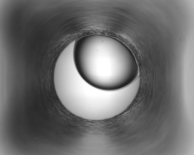 X0000088711110200705311033