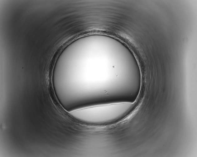 X0000088711113200705311033