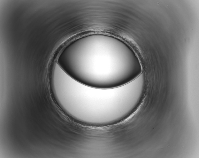 X0000088711114200705311033