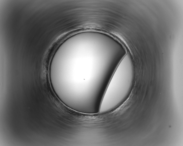 X0000088711115200705311033
