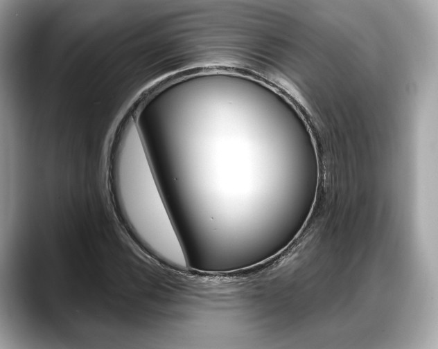 X0000088711116200705311033