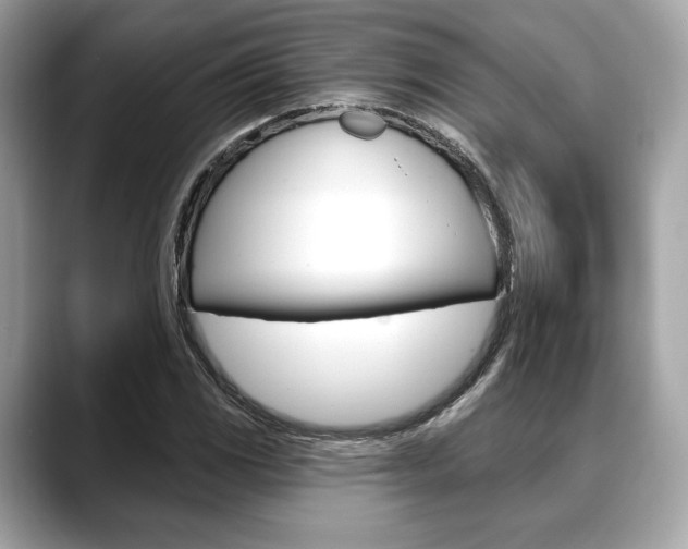 X0000088711117200705311034