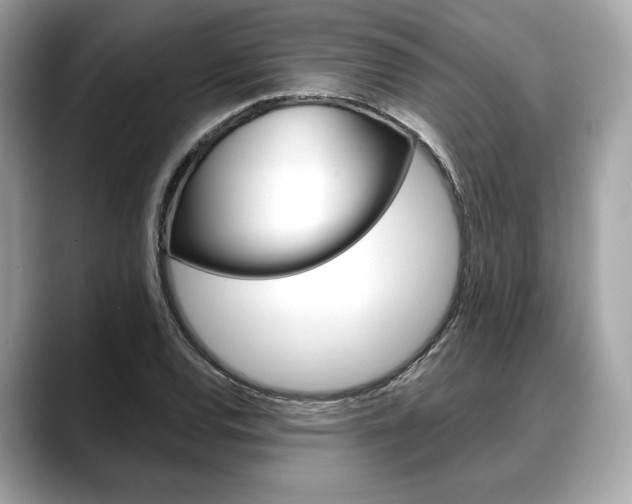 X0000088711120200705311034