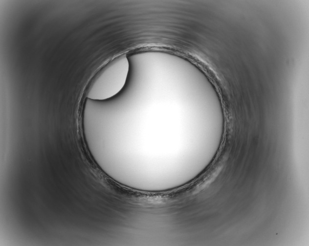 X0000088711121200705311034