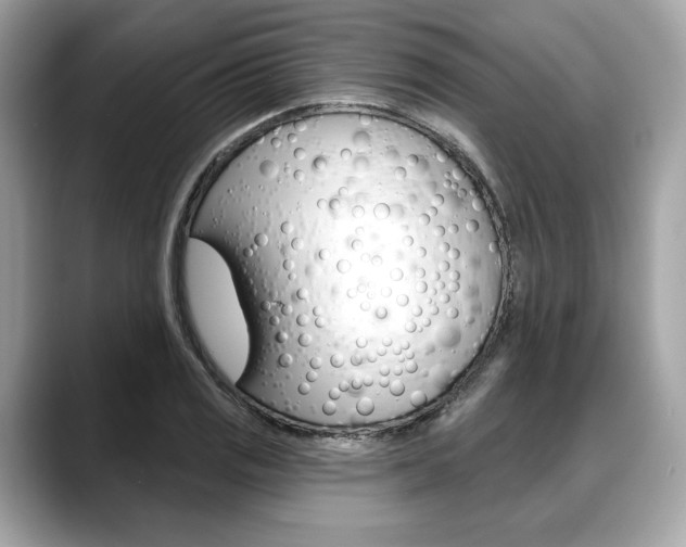 X0000088711125200705311034