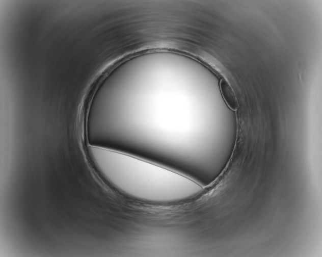 X0000088711127200705311034