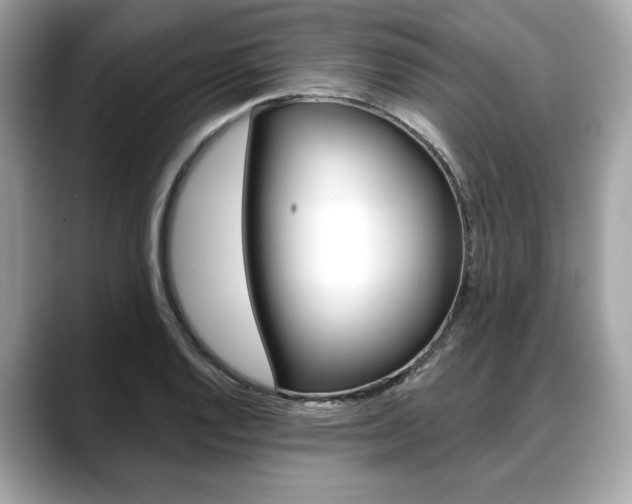 X0000088711128200705311034