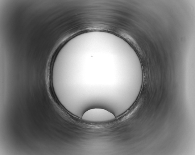 X0000088711130200705311034