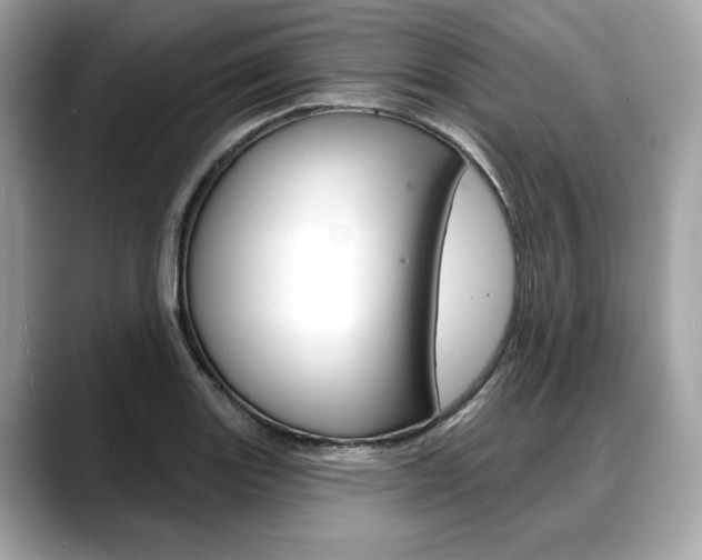 X0000088711131200705311034