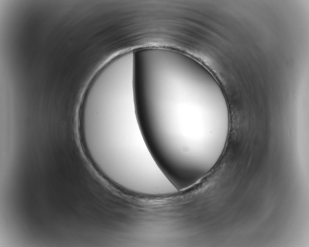 X0000088711134200705311034