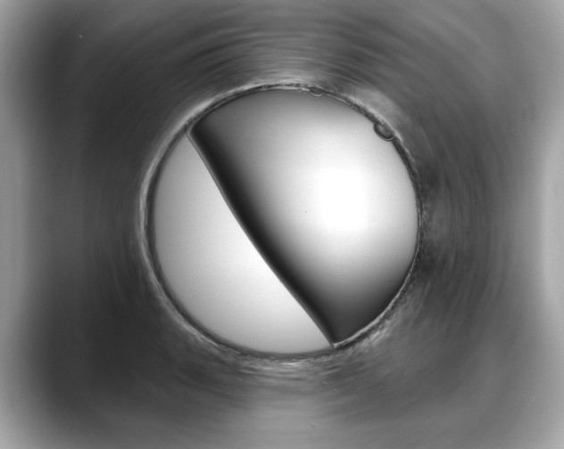 X0000088711135200705311034