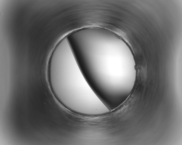 X0000088711143200705311034
