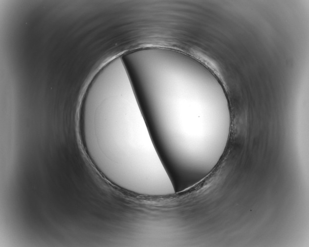 X0000088711146200705311034