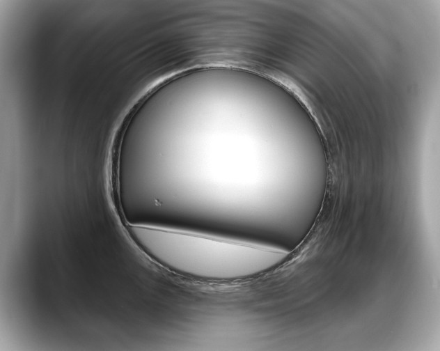 X0000088711147200705311034