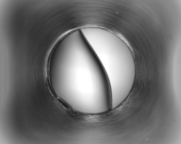 X0000088711148200705311034