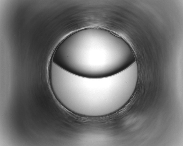 X0000088711151200705311034