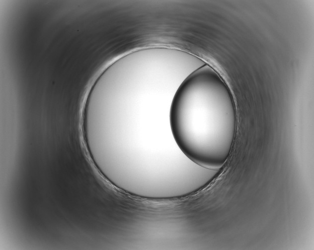 X0000088711152200705311034