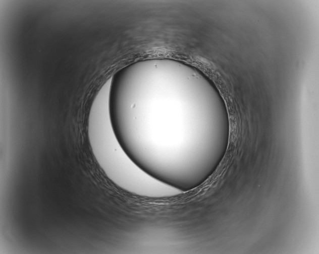 X0000088711157200705311033