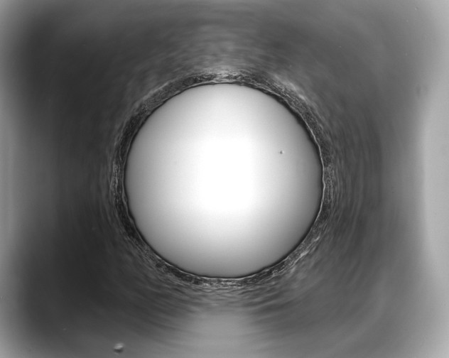 X0000088711158200705311033