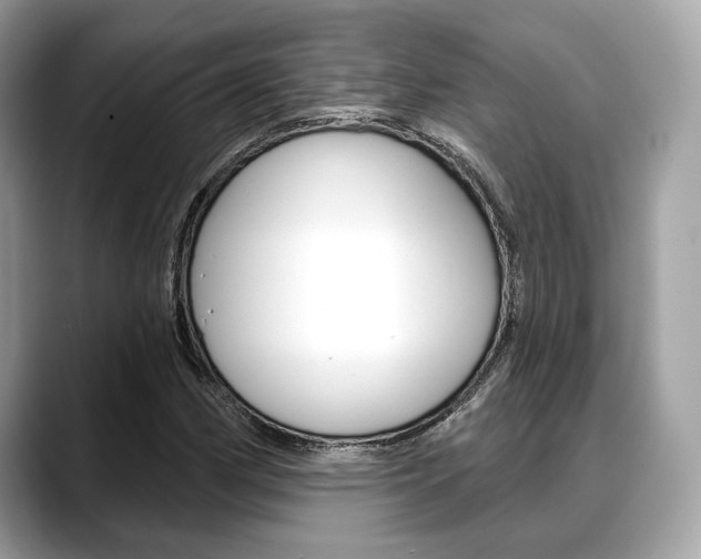 X0000088711162200705311033
