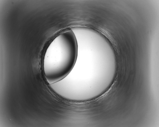 X0000088711164200705311033