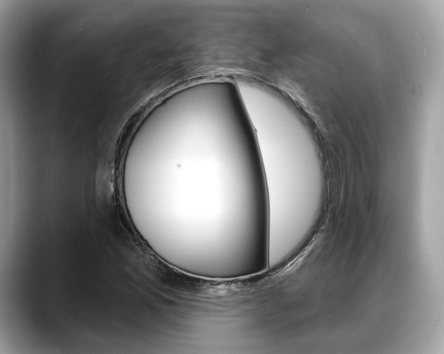 X0000088711165200705311033