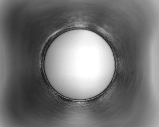 X0000088711166200705311033