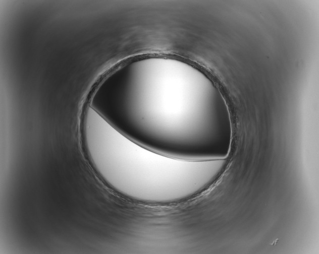 X0000088711168200705311033