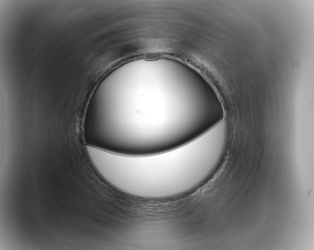 X0000088711169200705311033
