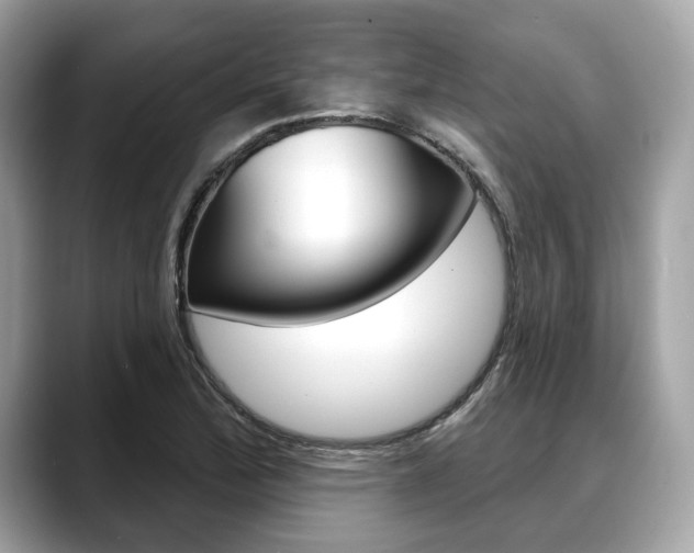 X0000088711172200705311033
