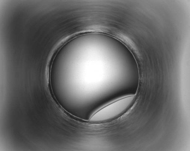 X0000088711180200705311033