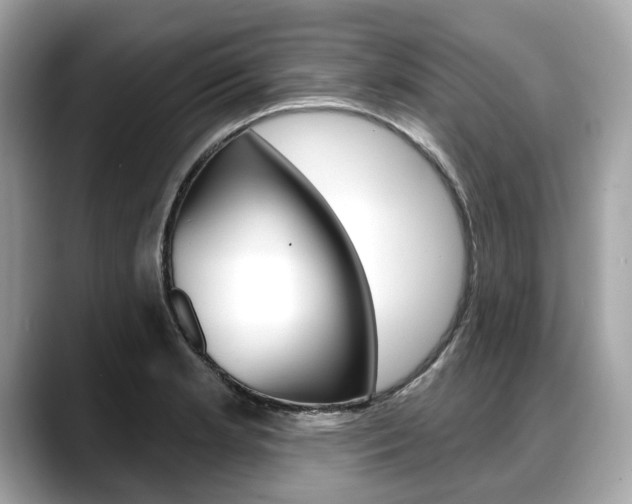 X0000088711181200705311033