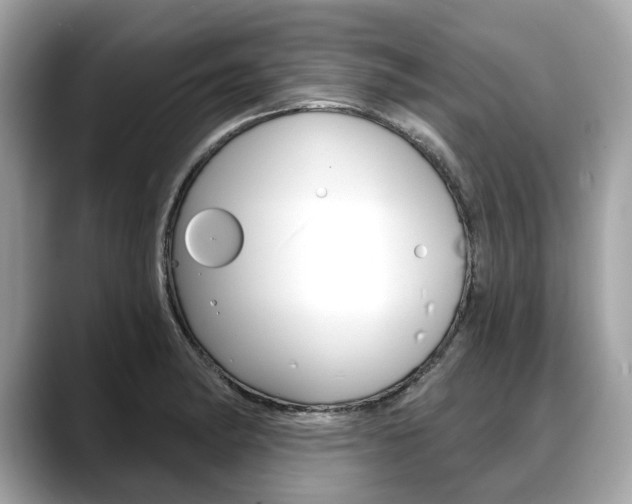 X0000088711182200705311033