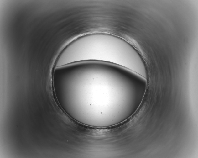 X0000088711184200705311033