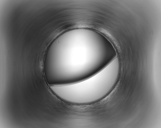 X0000088711185200705311033