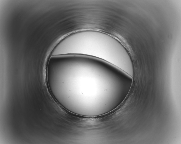 X0000088711188200705311033