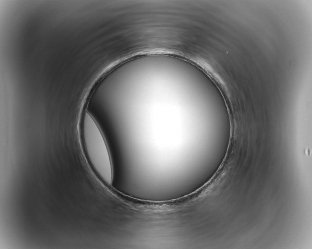 X0000088711189200705311033
