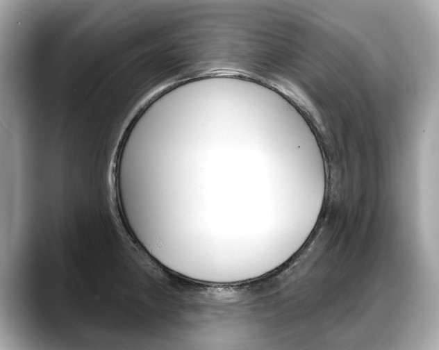X0000088711190200705311033