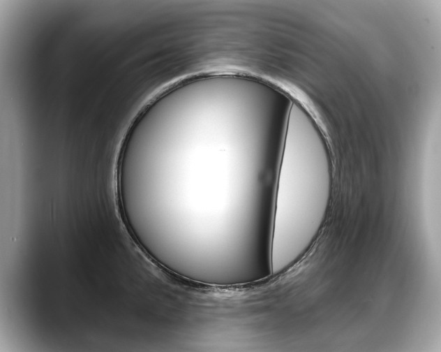 X0000088711191200705311033