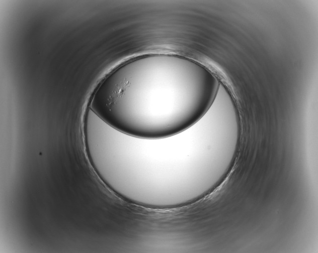 X0000088711192200705311033