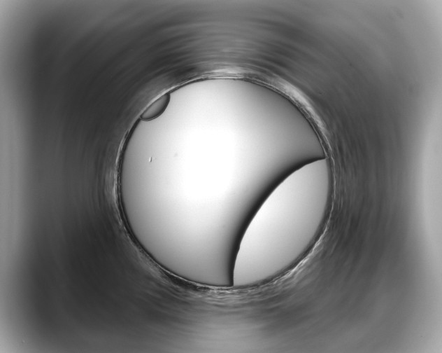 X0000088711194200705311033